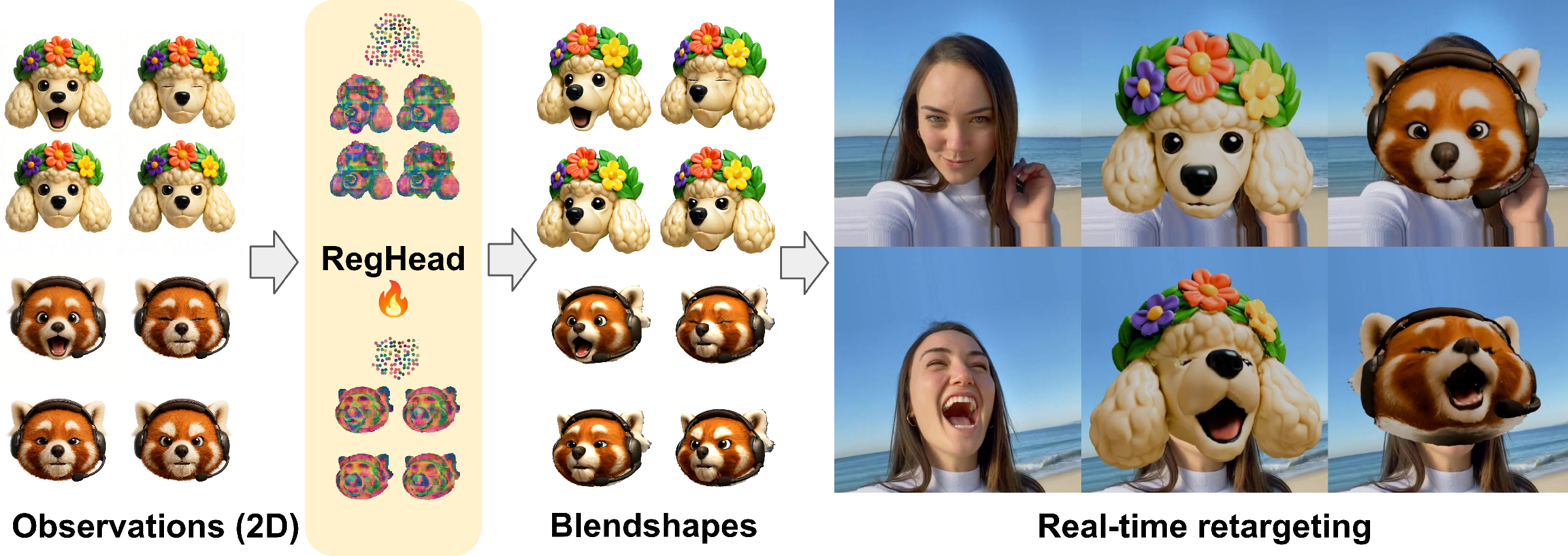 RegHead